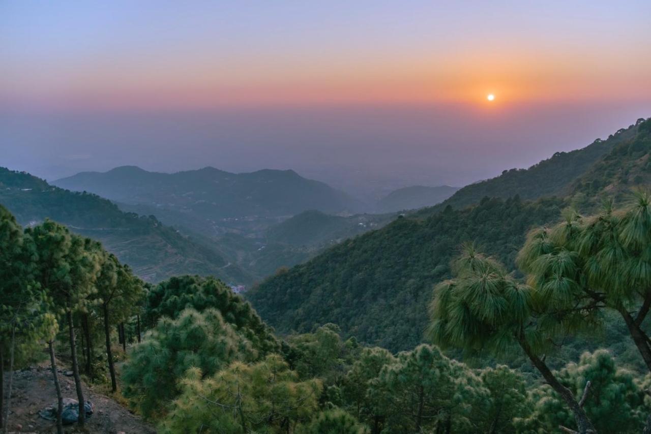 Urban Wave 2Bed Rooms By The North Edge Kasauli Exteriér fotografie
