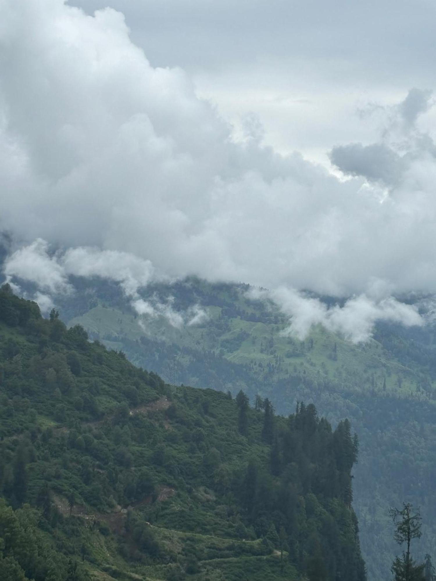 Urban Wave 2Bed Rooms By The North Edge Kasauli Exteriér fotografie